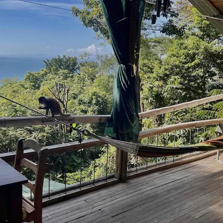 Beautiful Rustic Treehouse Hotel Manuel Antonio ケポス エクステリア 写真