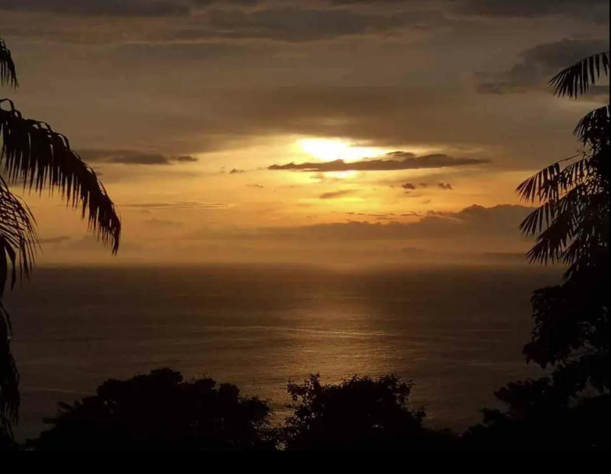 Beautiful Rustic Treehouse Hotel Manuel Antonio ケポス エクステリア 写真